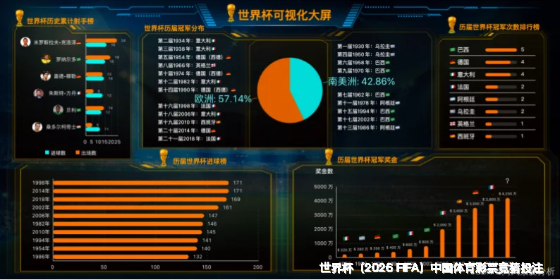 使用指南与风险控制